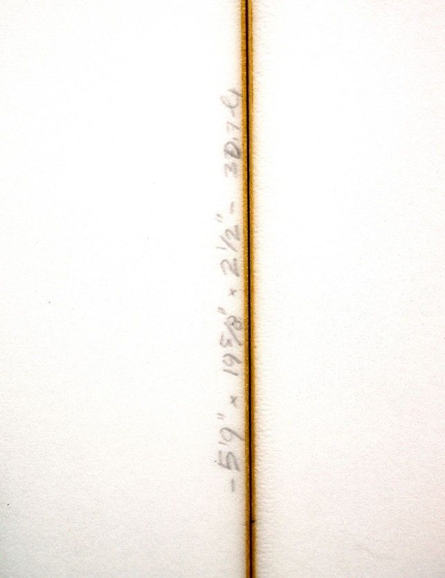 Twin Fin Fish Beard Copy 5x9