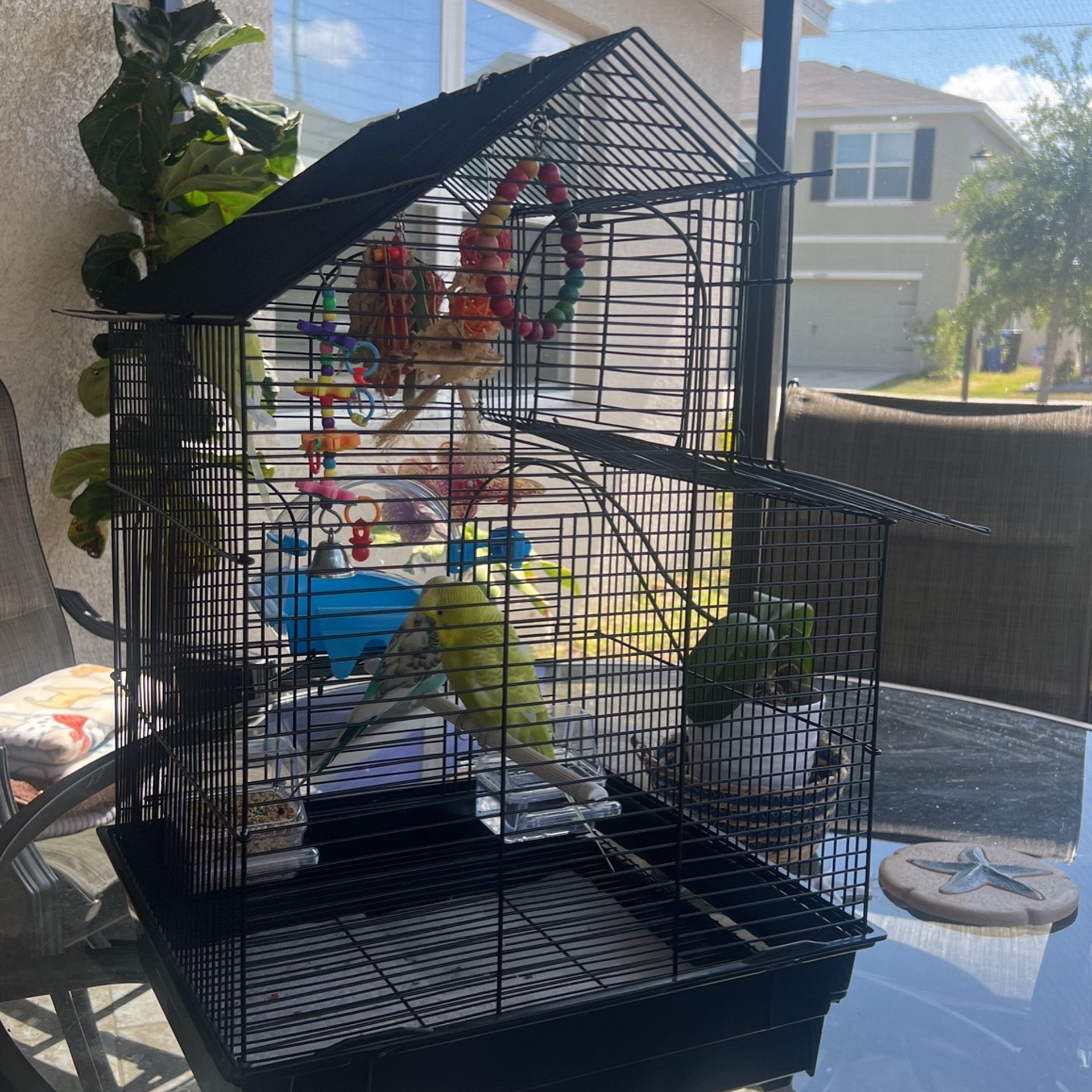 Bird Cage And Accessories.