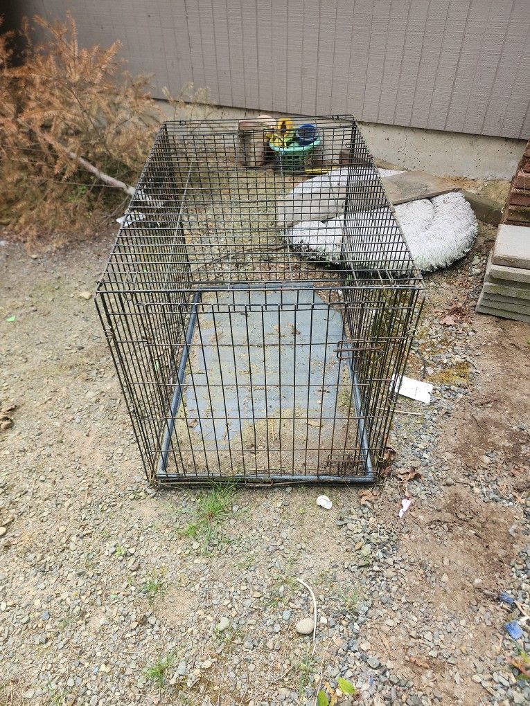 Dog Kennel