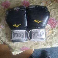 16 Oz Everlast Boxing Gloves