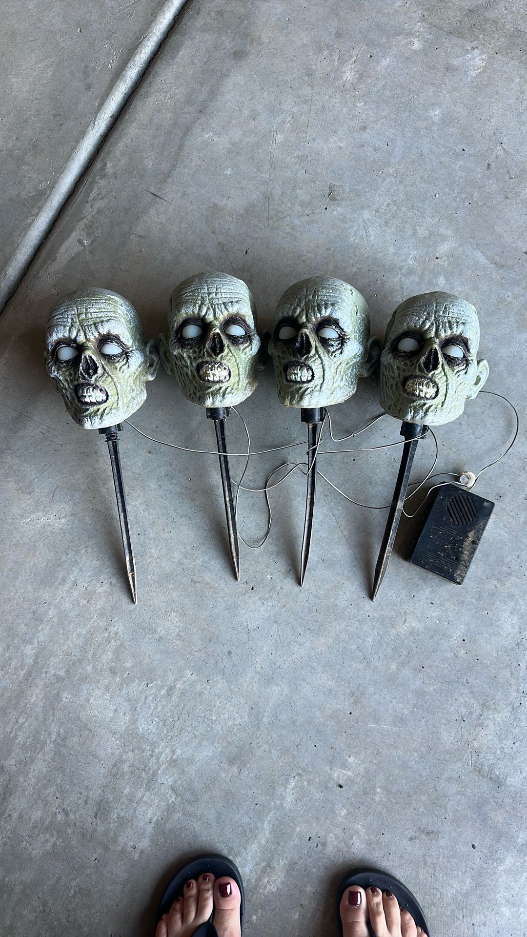 Animated Halloween skulls