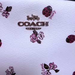 Coach Hand Bag