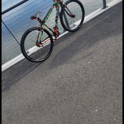 Big RIPPER 29IN
