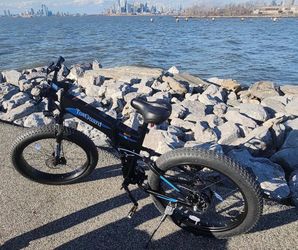 Totguard e-bike