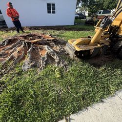 Stump Grinder 