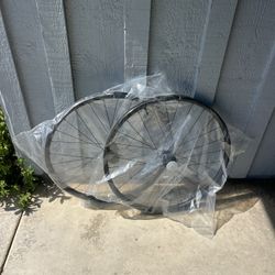 Giant AM 29 Wheelset Microspline