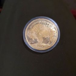 2010 U.S. Bison Indian Head Coin Copy