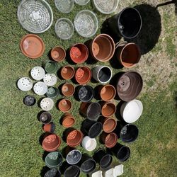 51 Planting Pots And Decorative Pots 