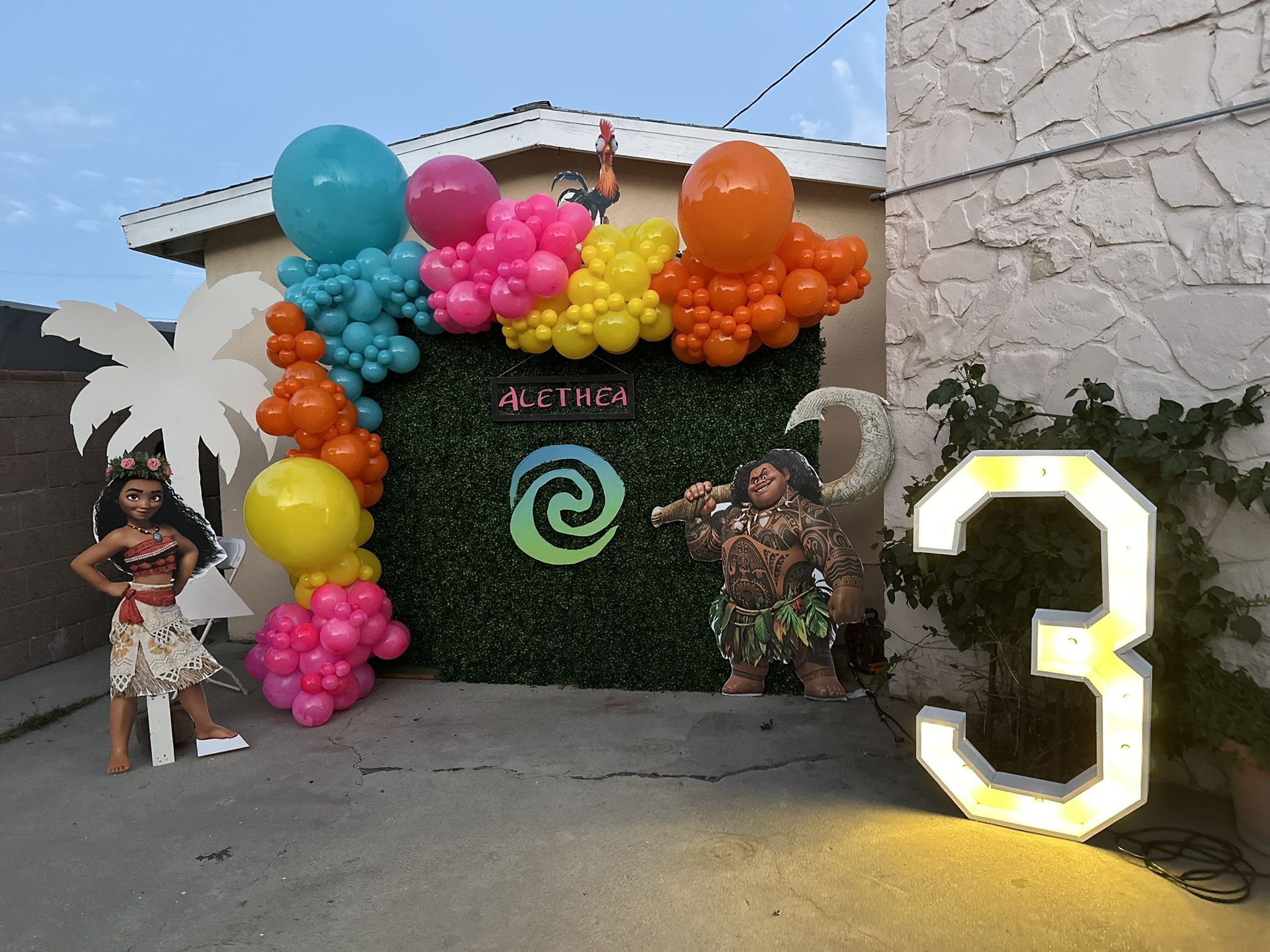 Hedge wall Back drop