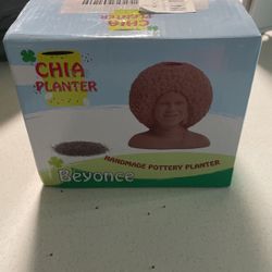 Beyoncé Chia Pet 