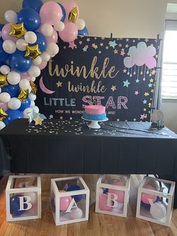 Twinkle Twinkle Gender Banner 
