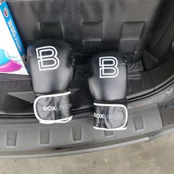 Boxing Gloves 