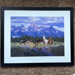 Horses in field