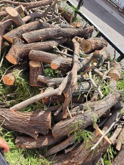 Remove tree
