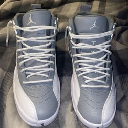 Jordan 12 Stealth