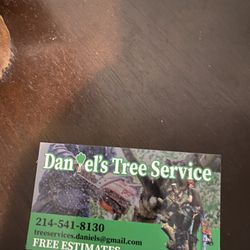 Green Trees 🌳🌳🌲, all About Trees 🌳🌳🌲