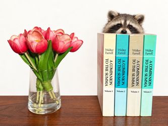 1985 A Companion to the Summa by Walter Farrell – 4-Volume Set