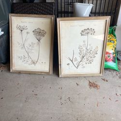 Set Of Framed Flower Art