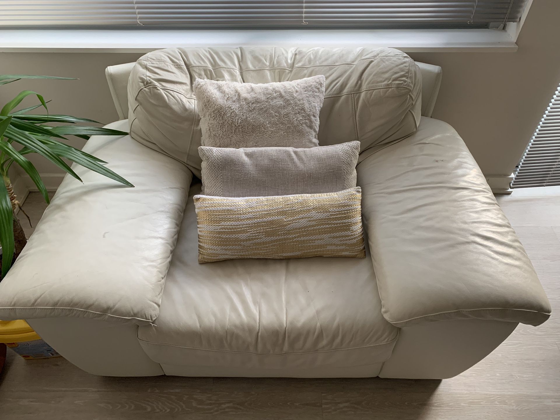 White Leather Chair, Plush rug, Arm Chair, and Ottoman