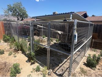 2 6x12 rhino kennels