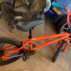 Mongoose Index 2.0 20" BMX