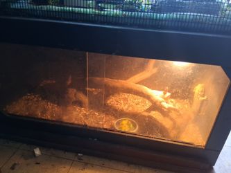 reptile Enclosures
