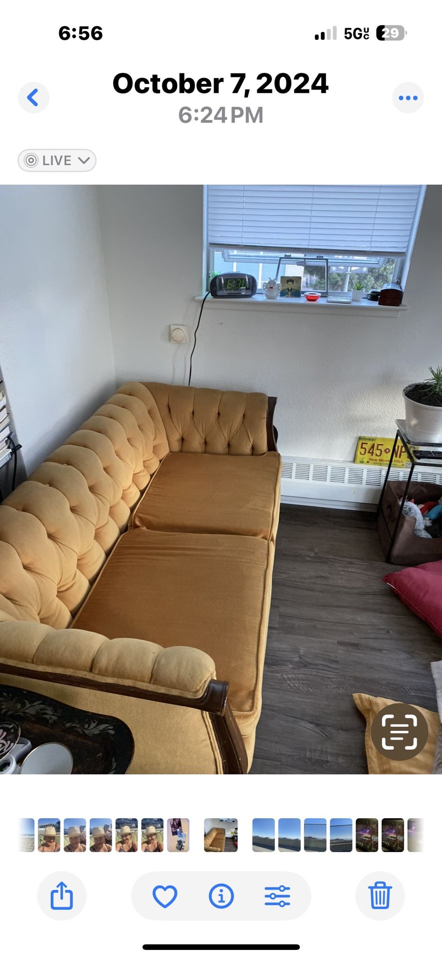 Yellow Victoria Love Seat