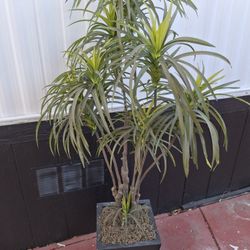 Planta Artificial Buenas Condisiones 