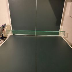 Ping Pong Table