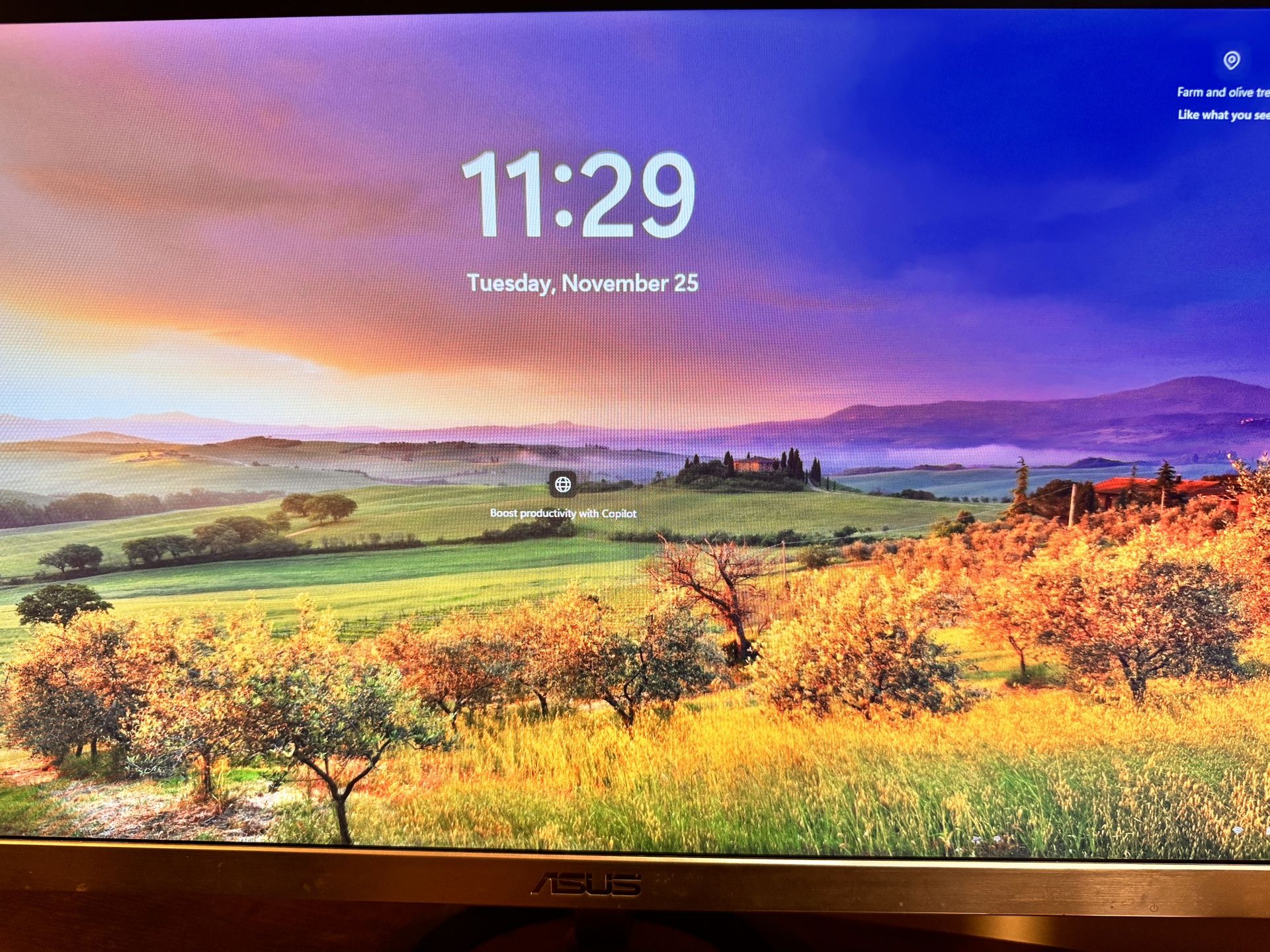 Two ASUS Gaming Monitors