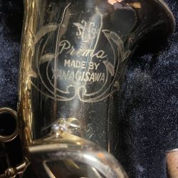 Yanagisawa  Alto Saxophone-Proffesional