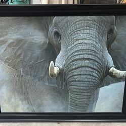 Elephant Painting