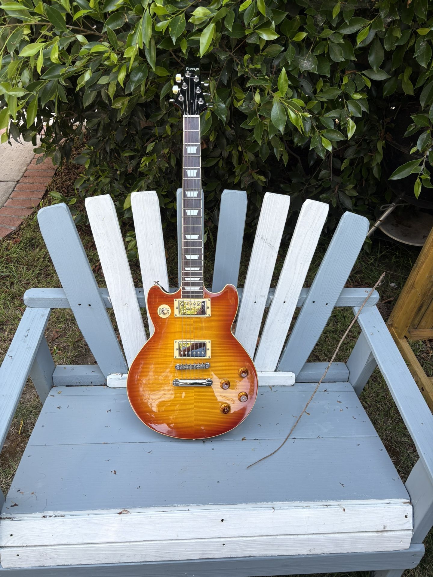 Arroyo Doublecut Guitar