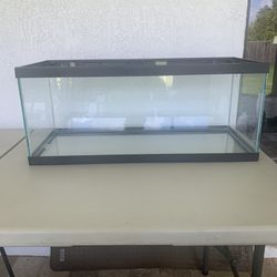 20 Gallon Glass Aquarium Like New
