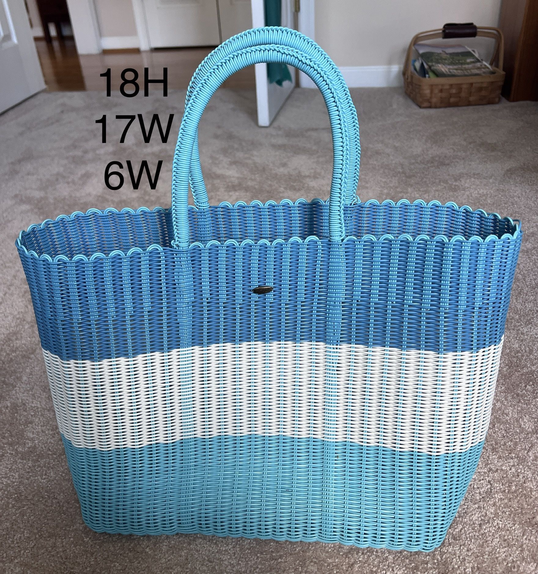 SCALA tote bag 17Wx18Hx6D