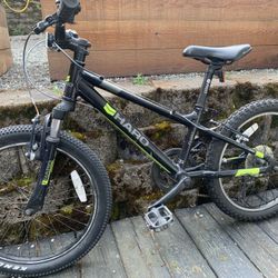 Haro Flightline 20” Wheel Kids Bike