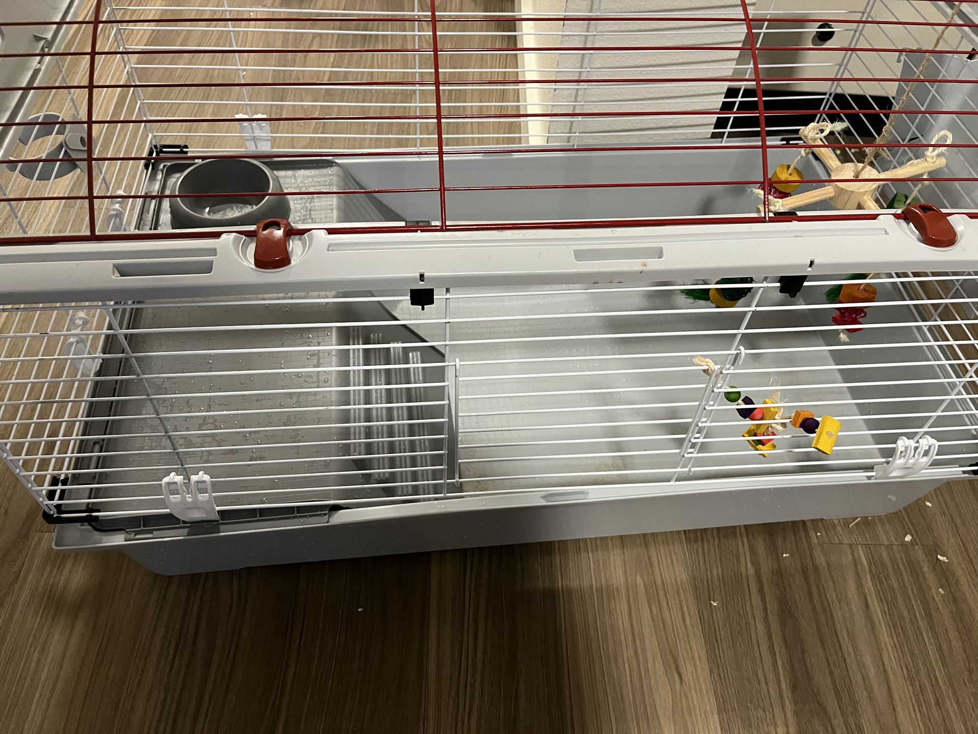 Guinea Pig, Enclosure And Other Items