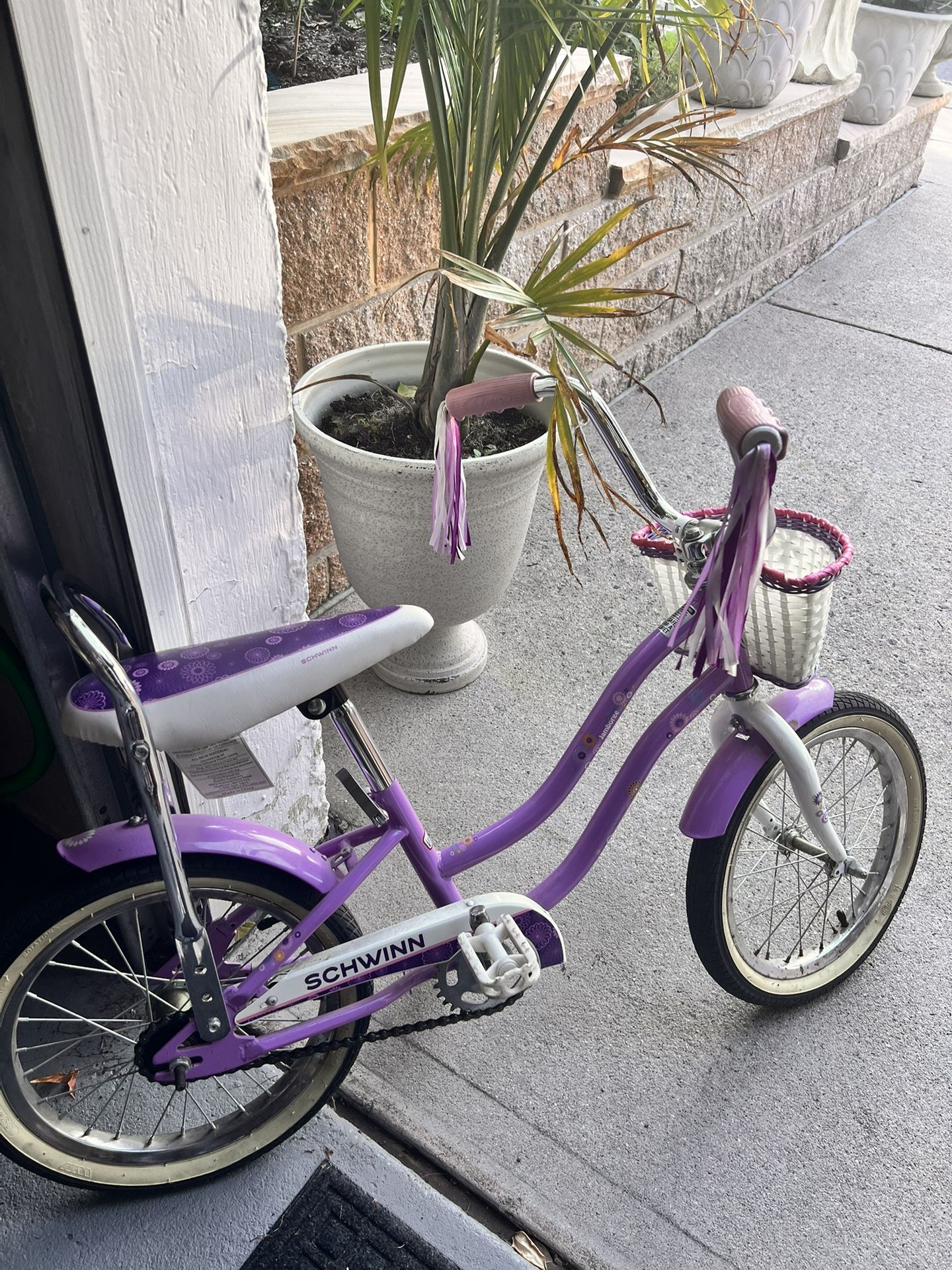 Purple Bicycle for little Kids