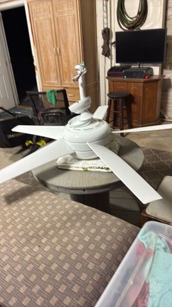 Ceiling fan
