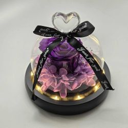 NEW Real Preserved Rose Everlasting Forever Eternal Flowers W/ LED Light