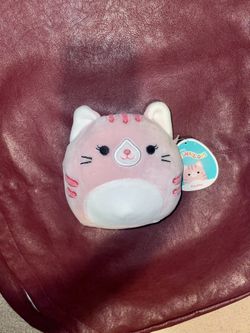 Paulita Cat Squishmallow 5”