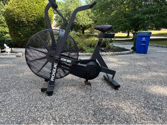 Rogue Echo Bike-New