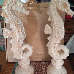 Set of two sea horses