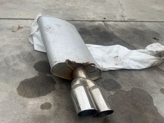 Muffler with dual exhaust tips