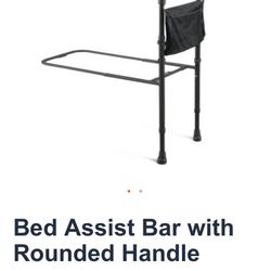 Bed Assist Bar with Rounded Handle