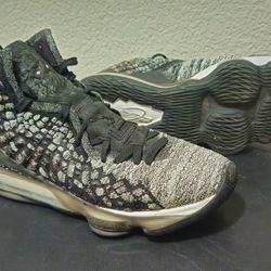 NIKE  LEBRON  MENS  SIZE 11.5   $30