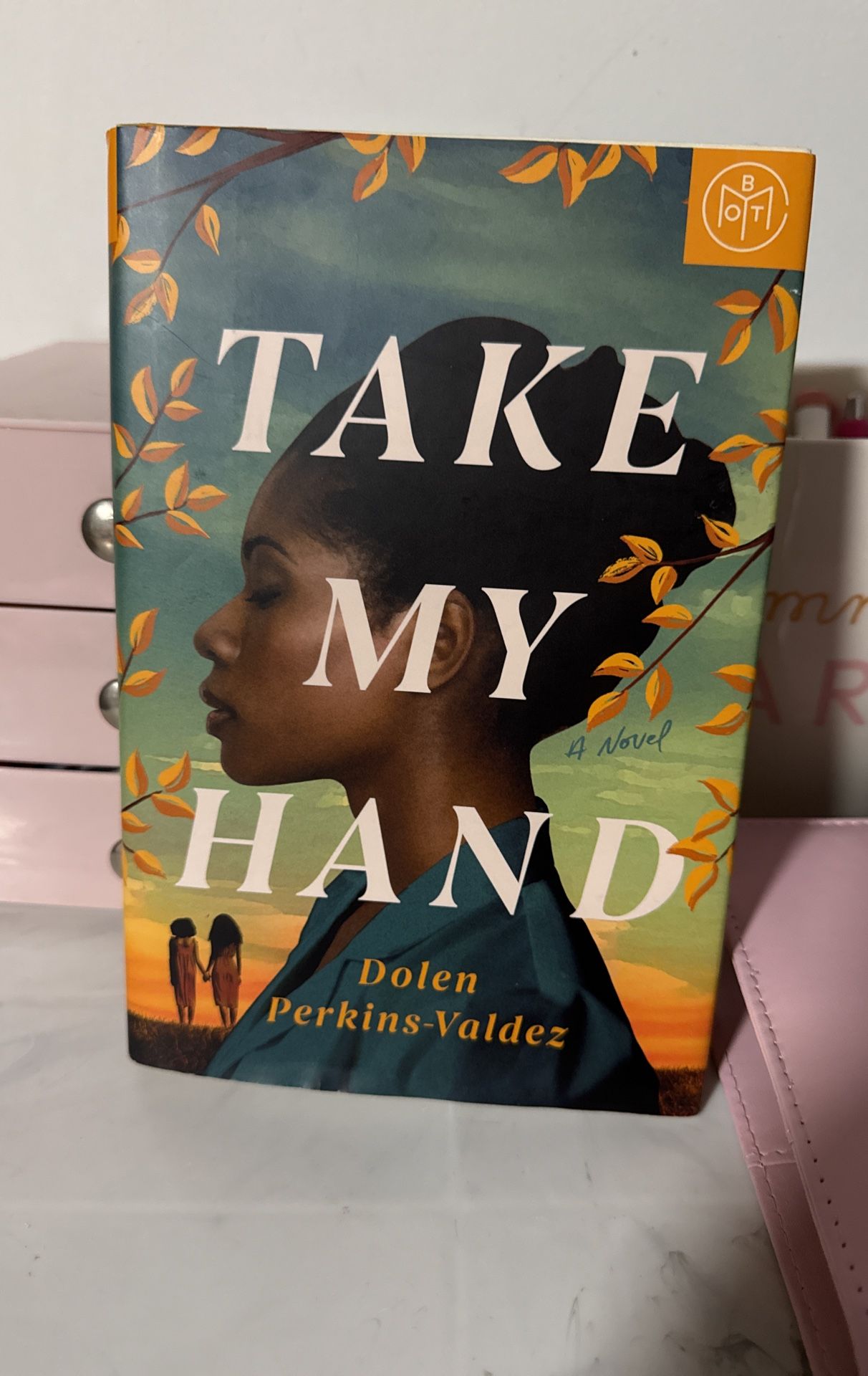 Book-Take My Hand