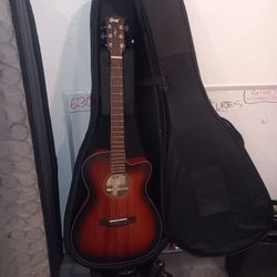 Core Acoustic Electrics Guitar Mahogany
