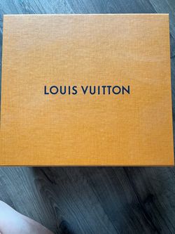 Louis Vuitton Bag
