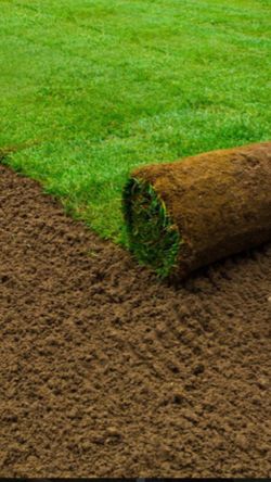 fresh sod cut every morning delivery available 